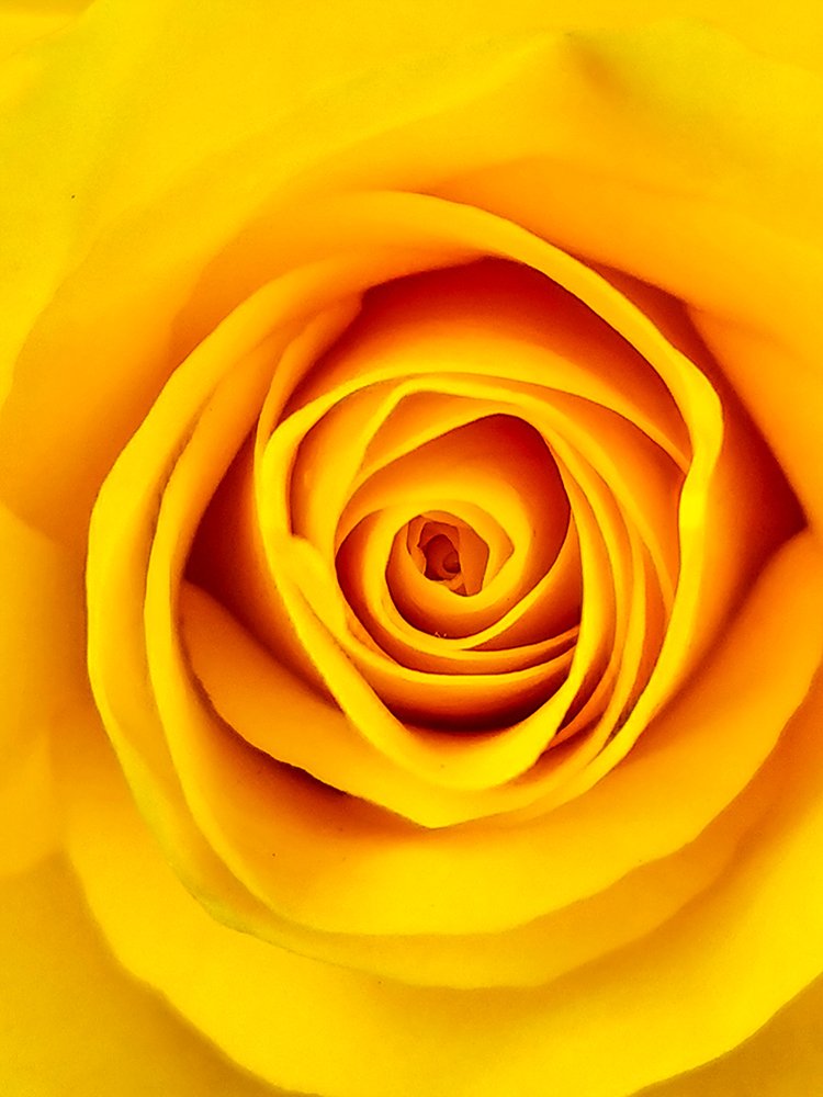 Photograph by Felipe Augusto