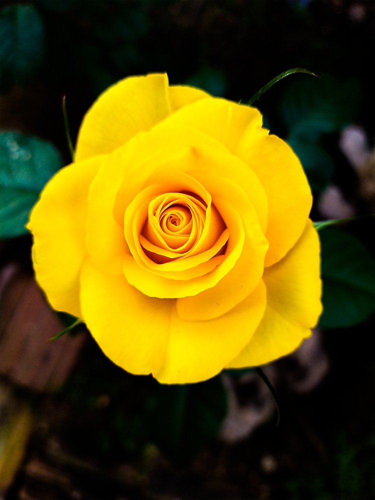 Photograph by Felipe Augusto