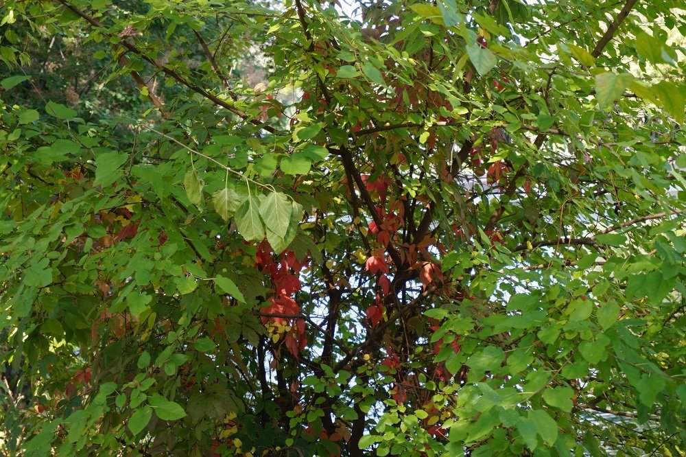 Photograph by Алия Байсыкова