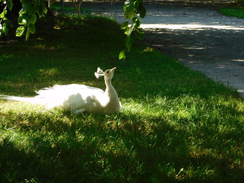 Photograph by Zsofia Schmidt-Mudik