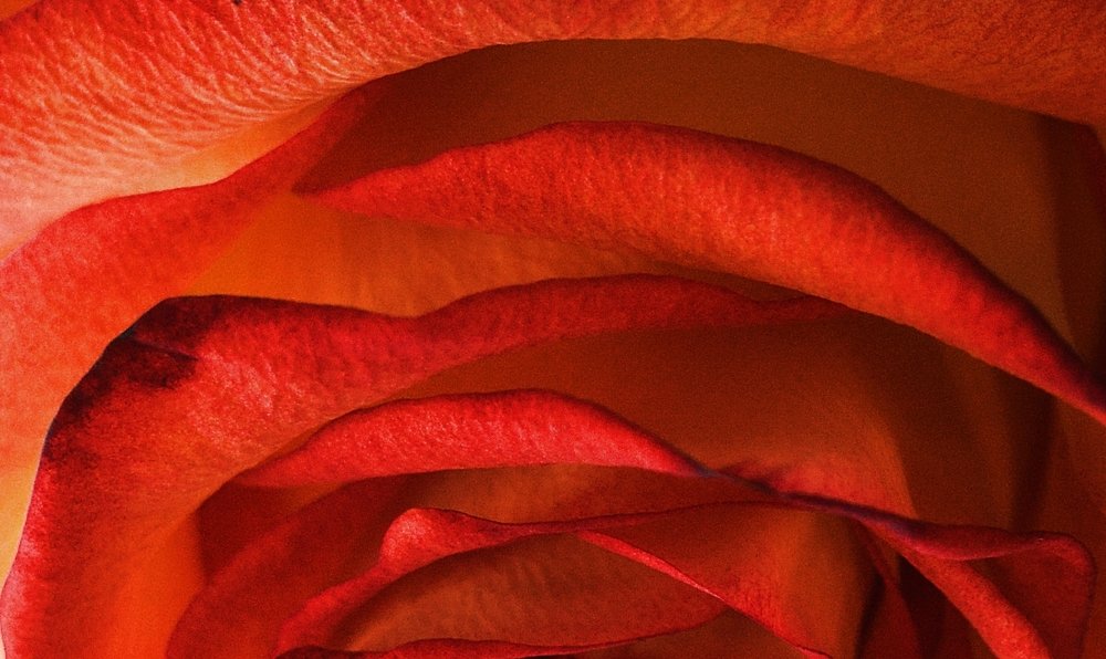 Фотография автора Глеб Рубашкин