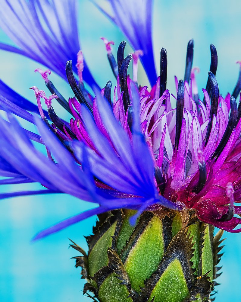 Photograph by Галина Иванова