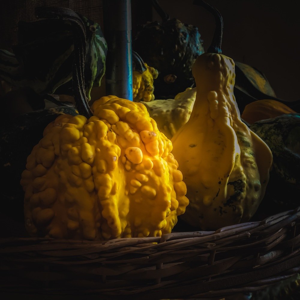 The Pumpkin, Golden September
