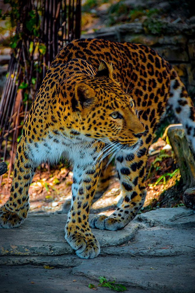 Photograph by Владимир Сиволапов