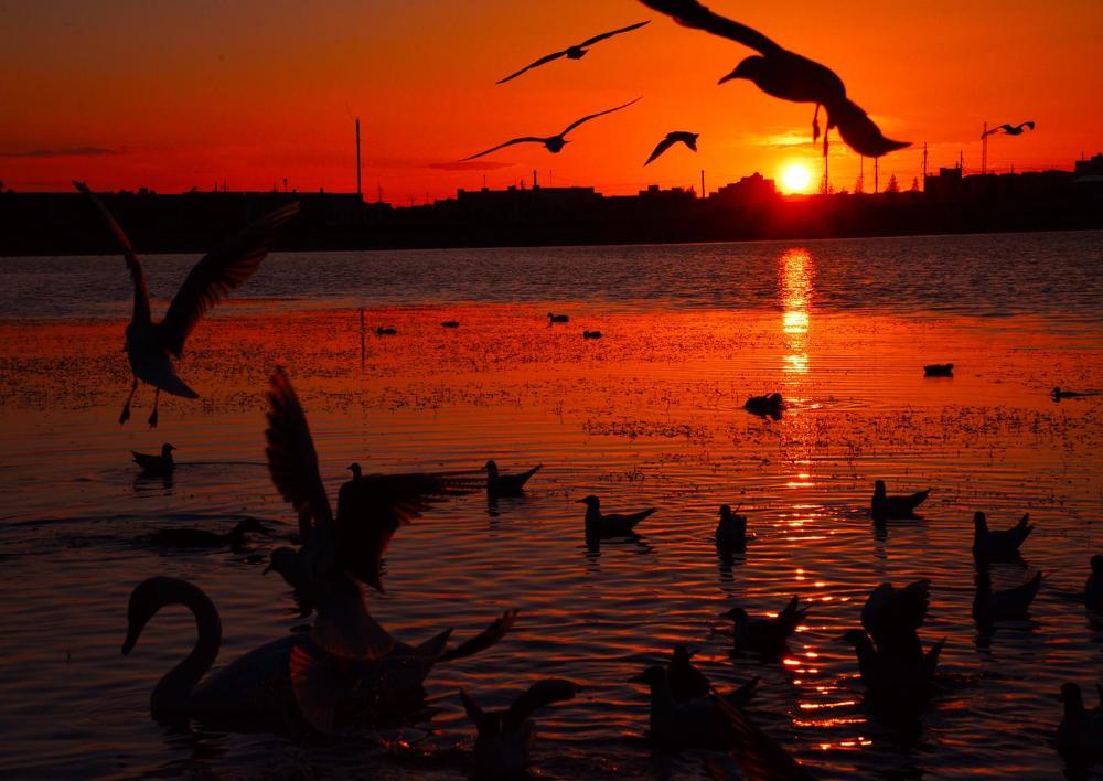 Photograph by Ольга Рогова