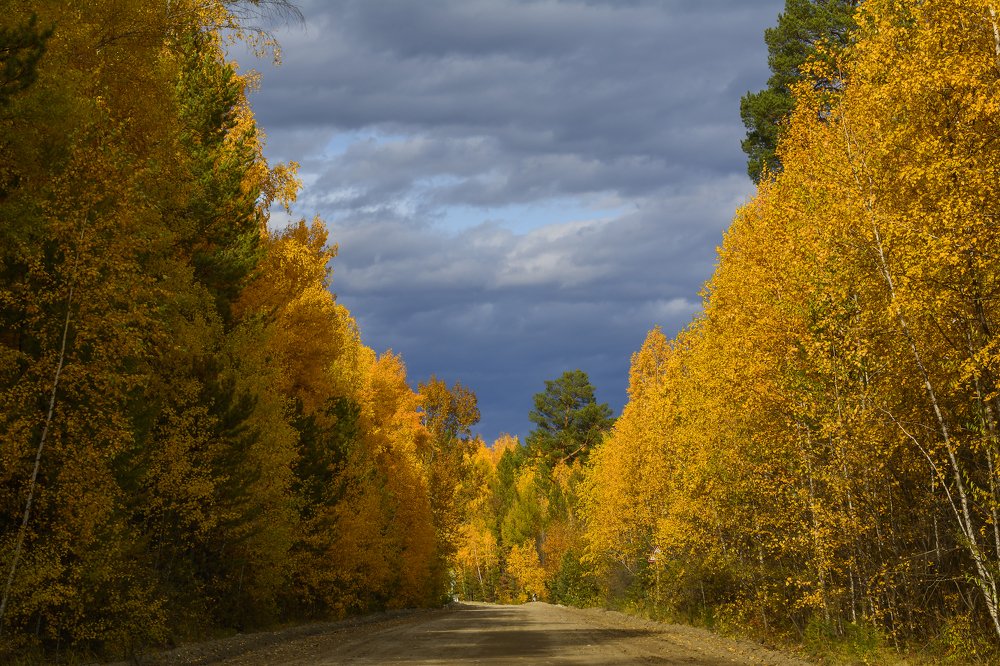 Золотая осень Бурятии