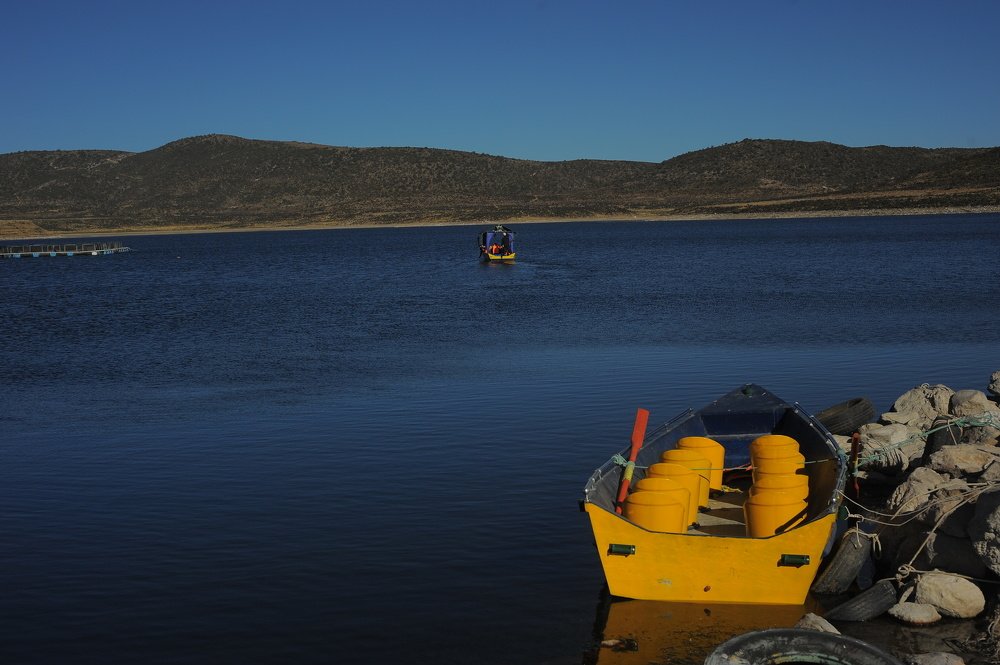 Photograph by Mariecarmen Flores