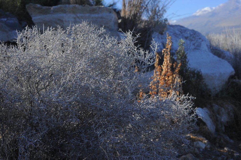 Photograph by Mariecarmen Flores