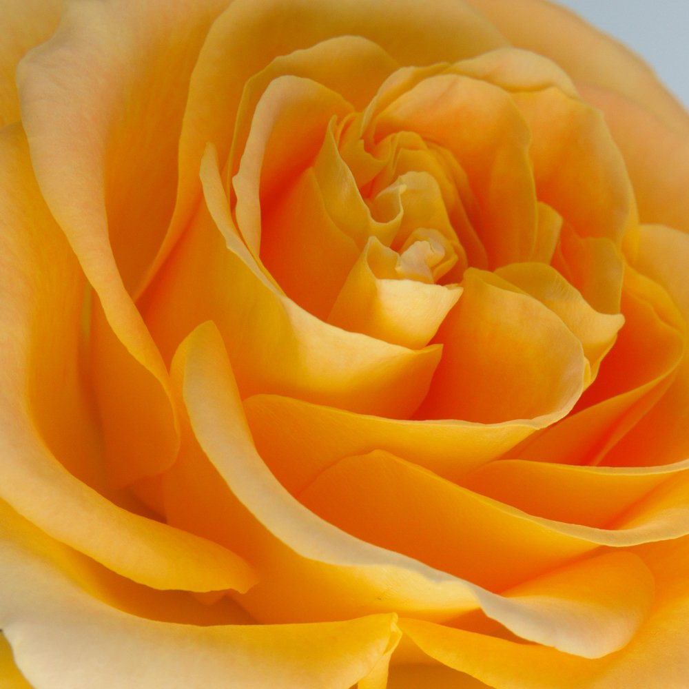 Photograph by Людмила Ефремова