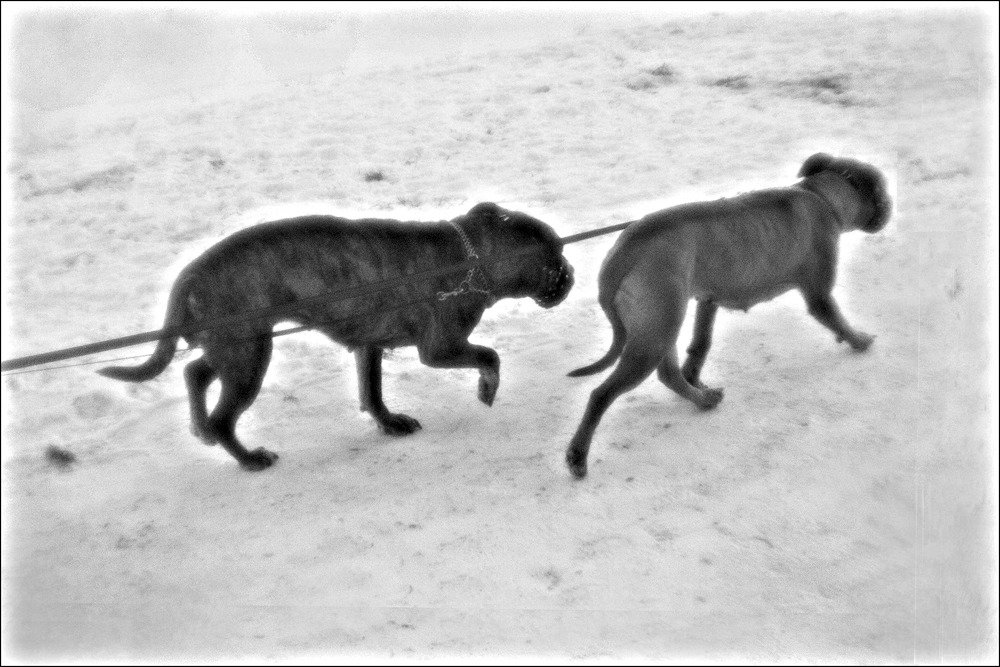 Photograph by Галина Бронникова