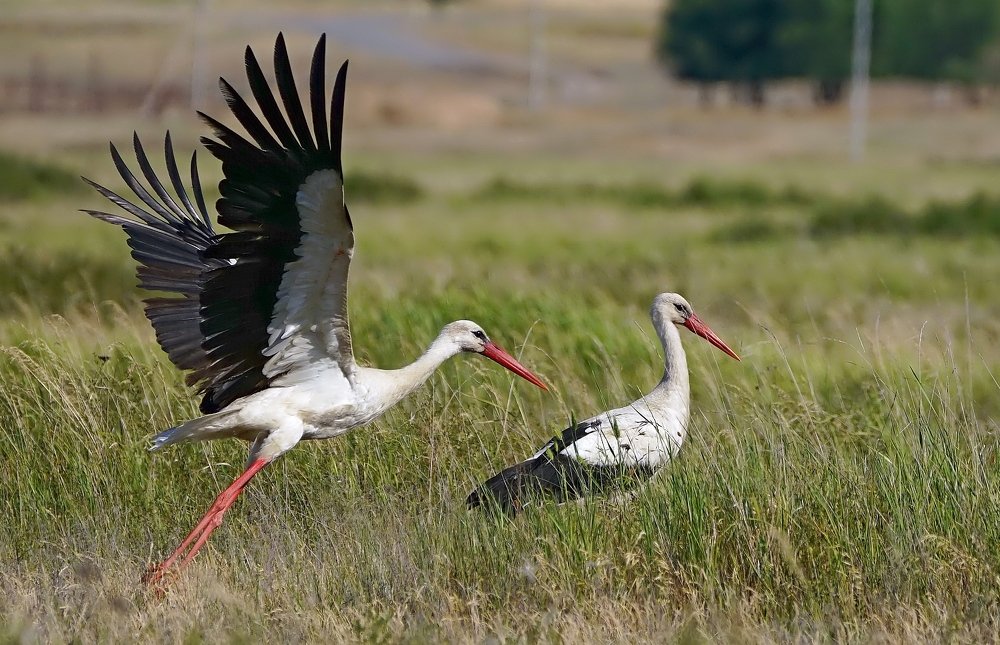 Фотография автора  Галина