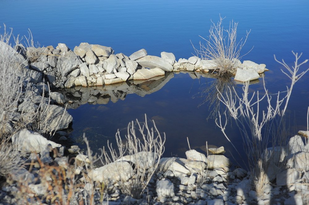 Photograph by Mariecarmen Flores