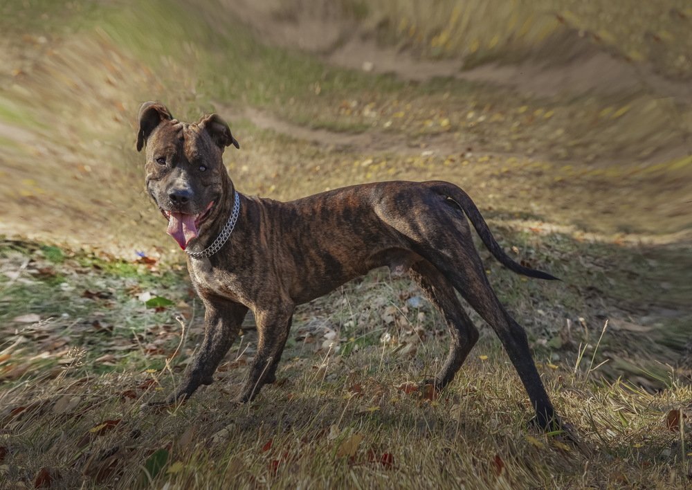 Photograph by петр чиков