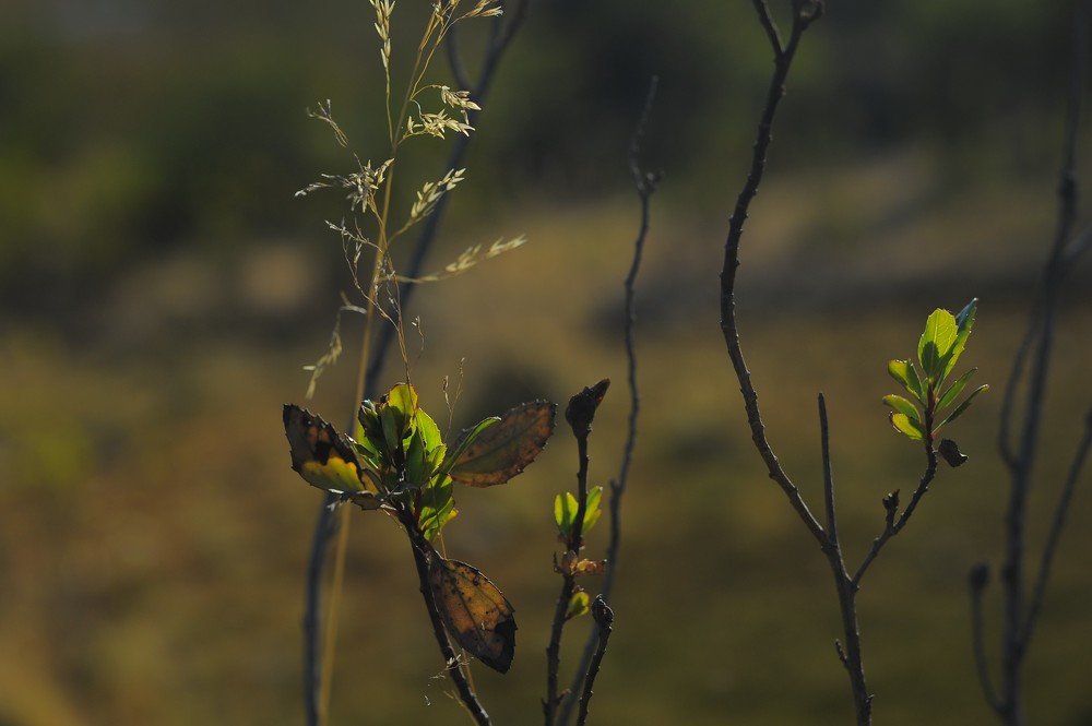 Photograph by Mariecarmen Flores