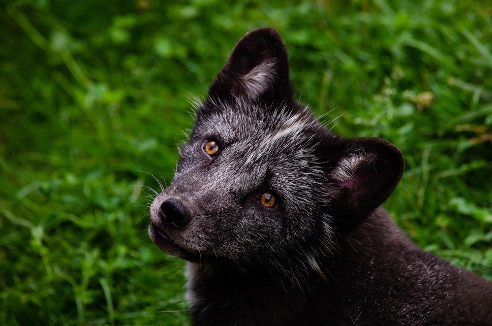 Photograph by Олег Смирнов