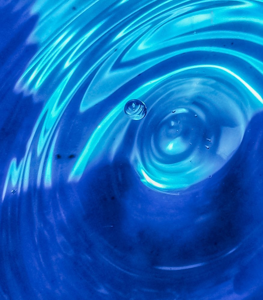 Photograph by Pallavi Singh