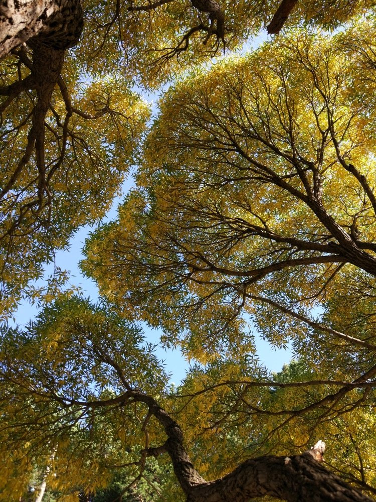 Photograph by Максим Двинин