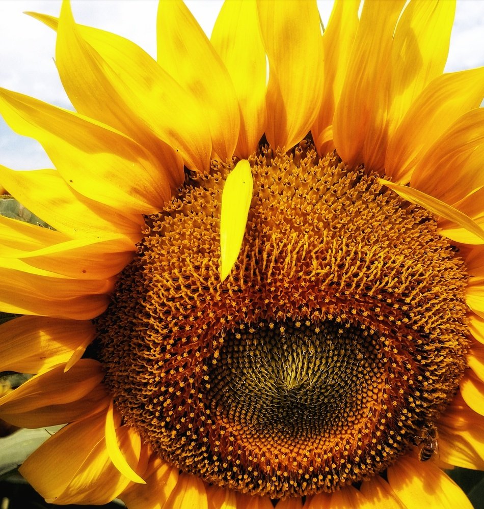 Photograph by Eva Wiedemann