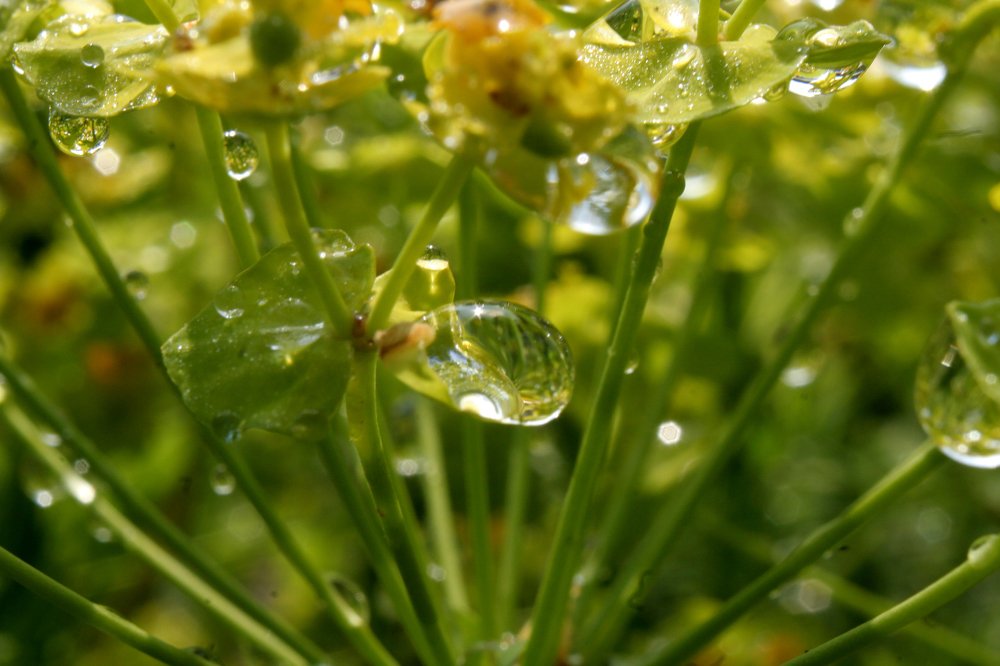 Photograph by Богдан Бигун