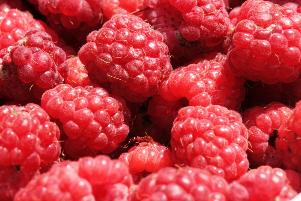 Photograph by Богдан Бигун