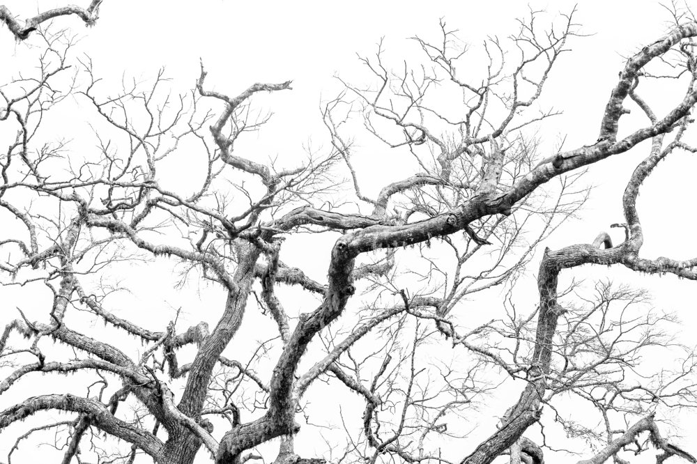 Фотография автора евгений митрошин