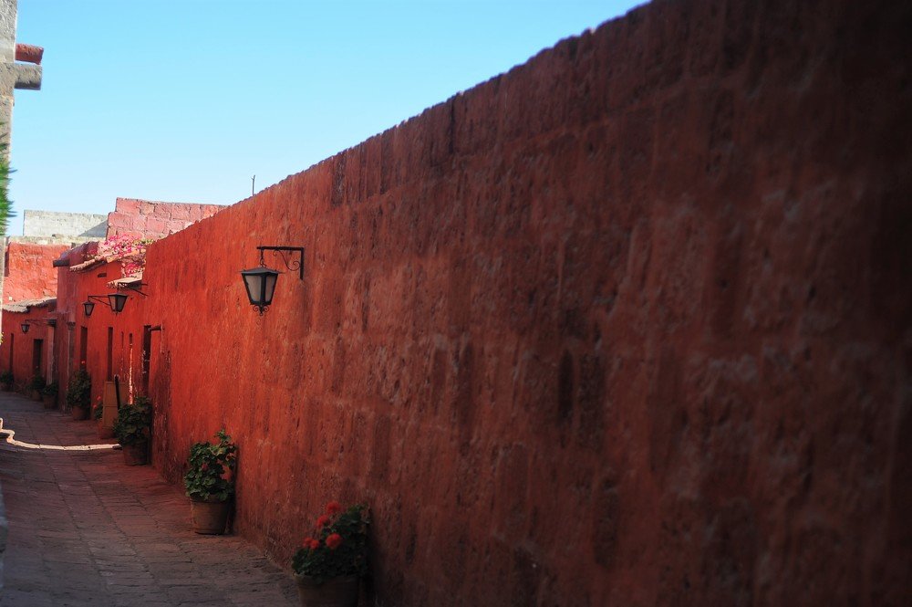 Photograph by Mariecarmen Flores