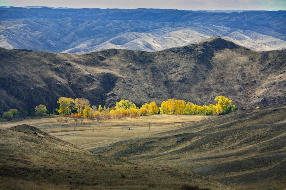 Губерлинские горы.