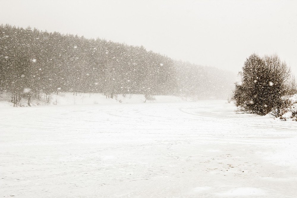 Photograph by Елена Белинская