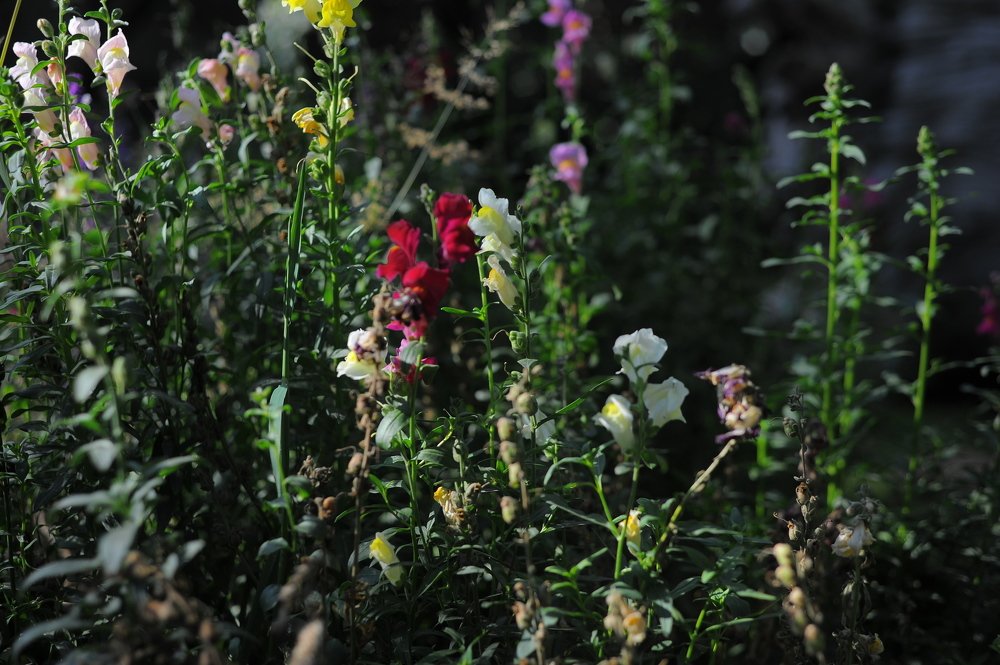 Photograph by Mariecarmen Flores