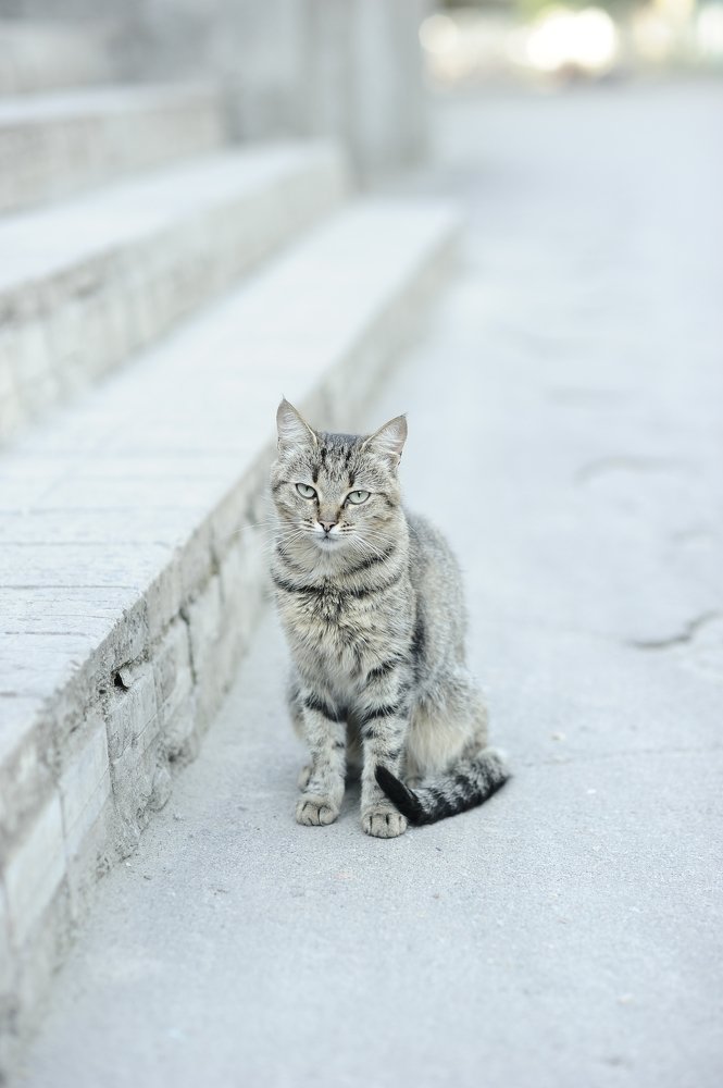 Photograph by Виталий Пилипенко