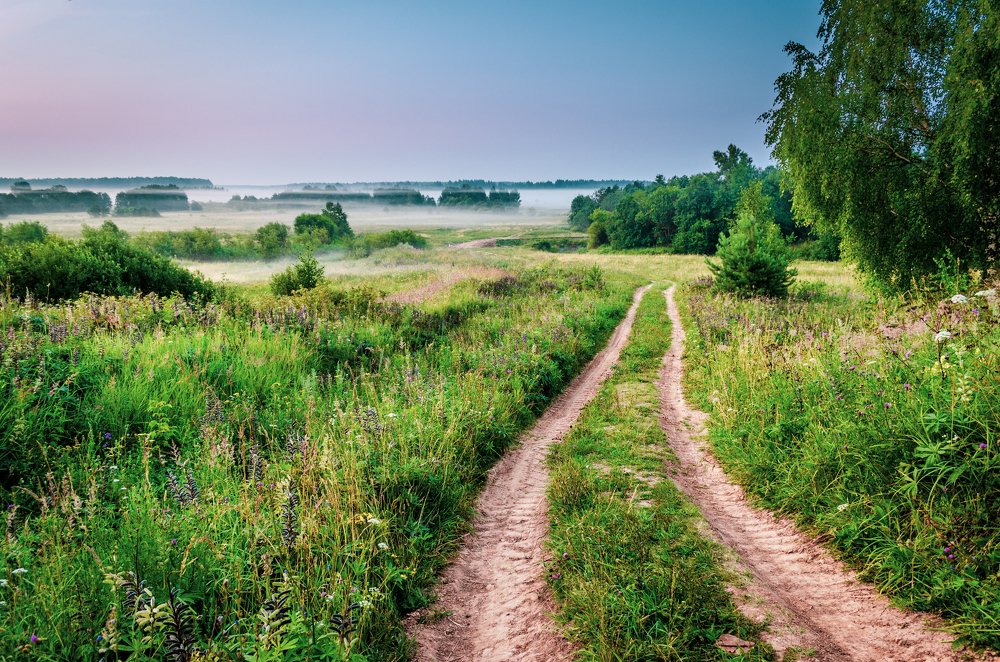 Photograph by Михаил Киселев