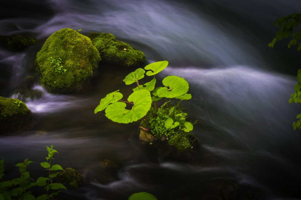 Фотография автора Maurice Leung