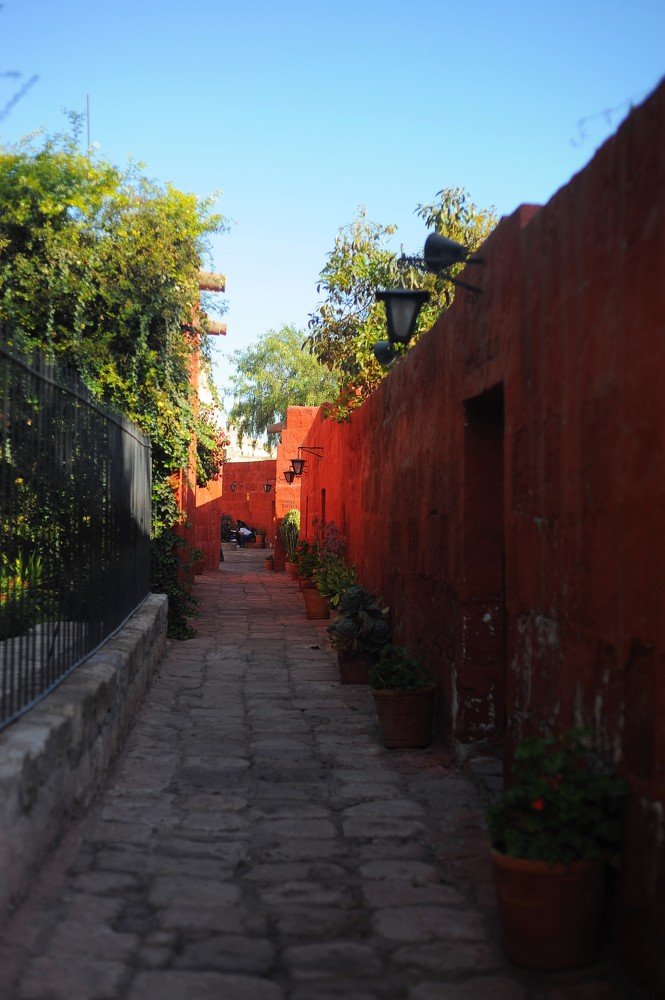 Photograph by Mariecarmen Flores