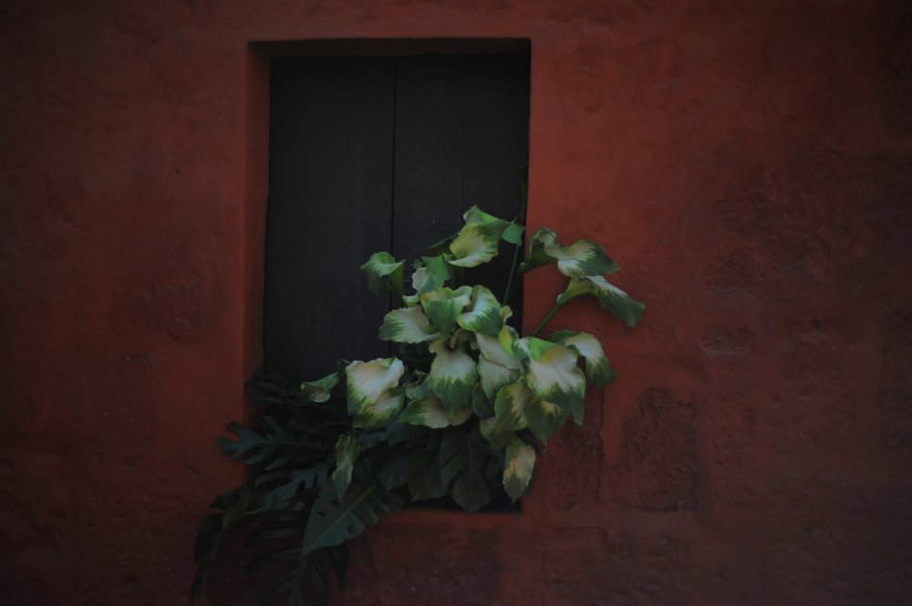 Photograph by Mariecarmen Flores