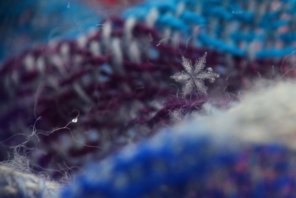 Photograph by Марина / MaxDiMara