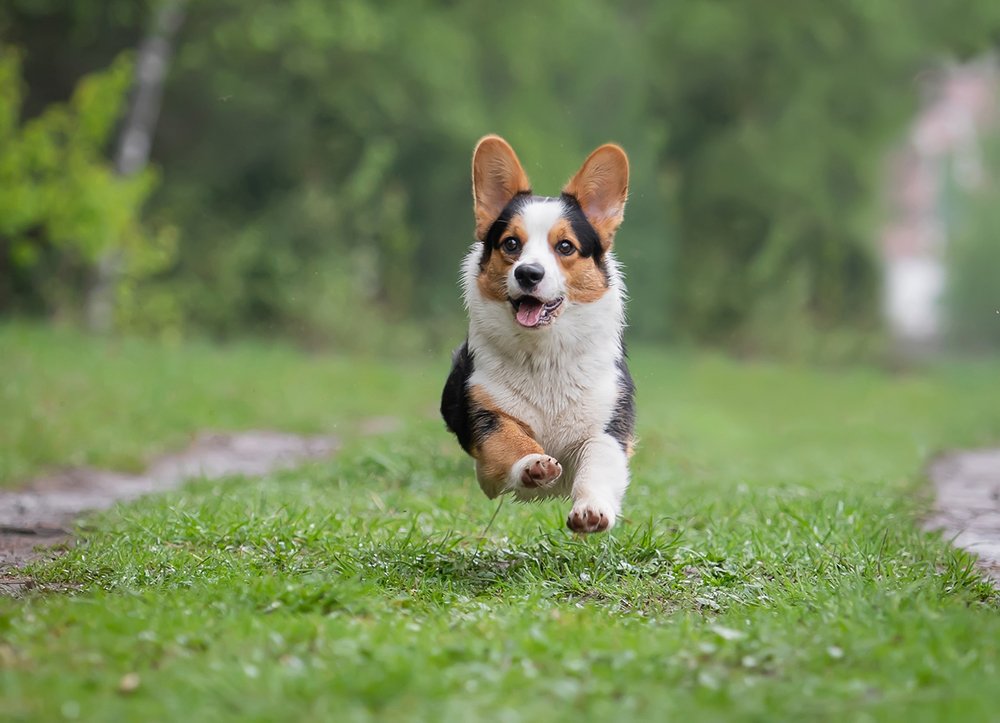 Photograph by Александра Бакламина
