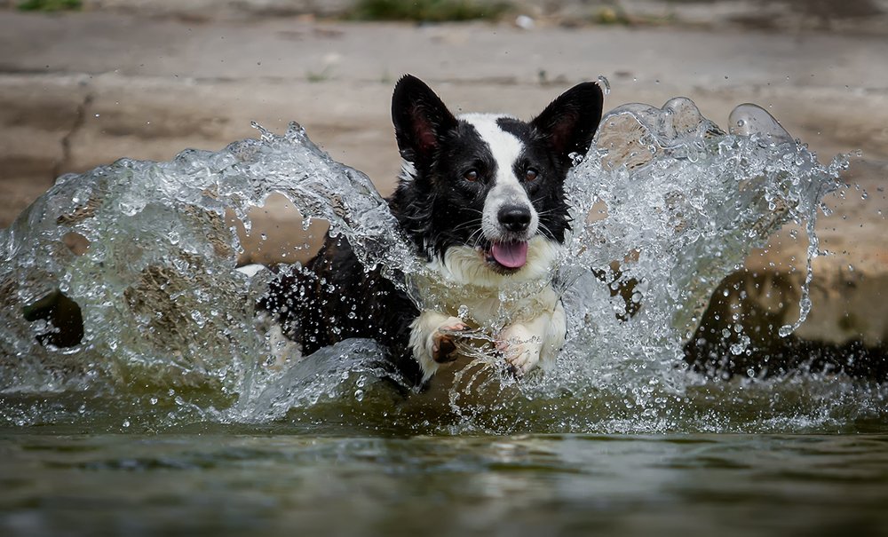 Photograph by Александра Бакламина