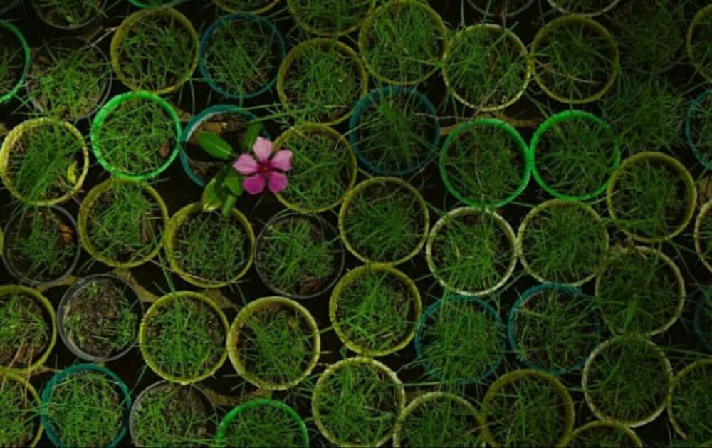 Photograph by abbas valadi