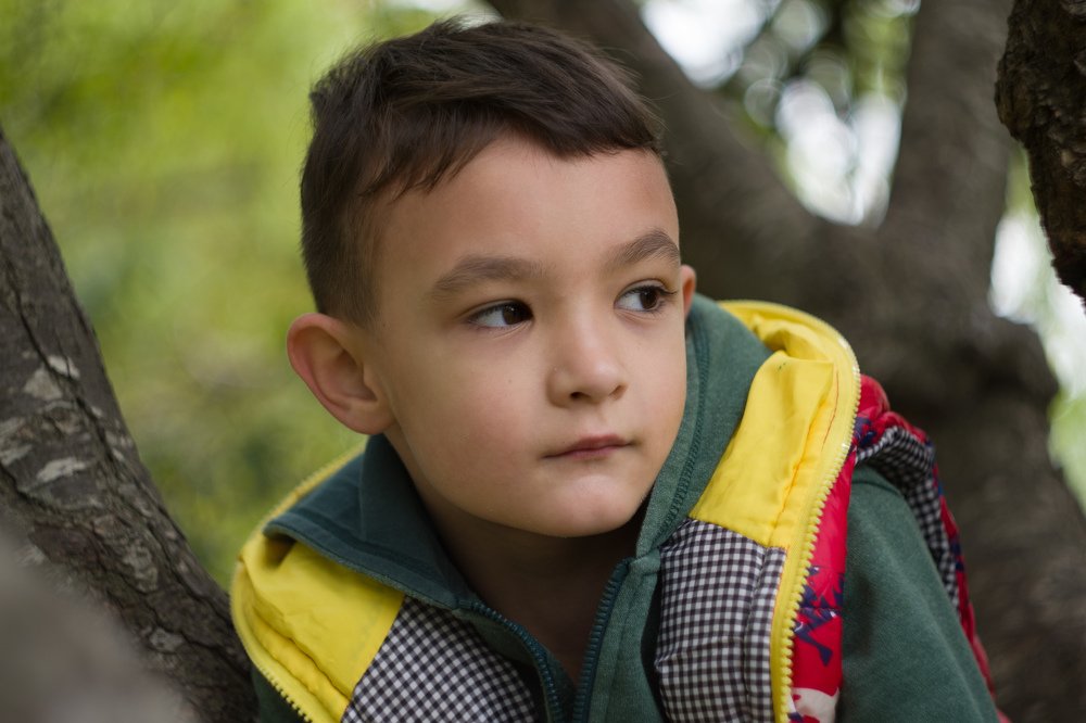 Photograph by Александр Шевченко