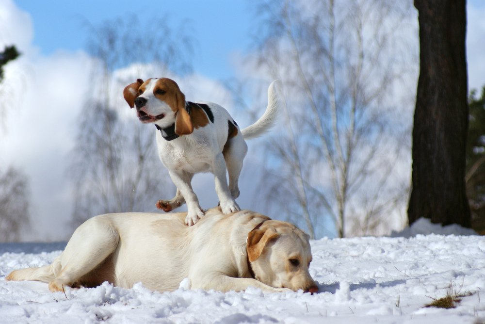 Photograph by Ольга Буракова