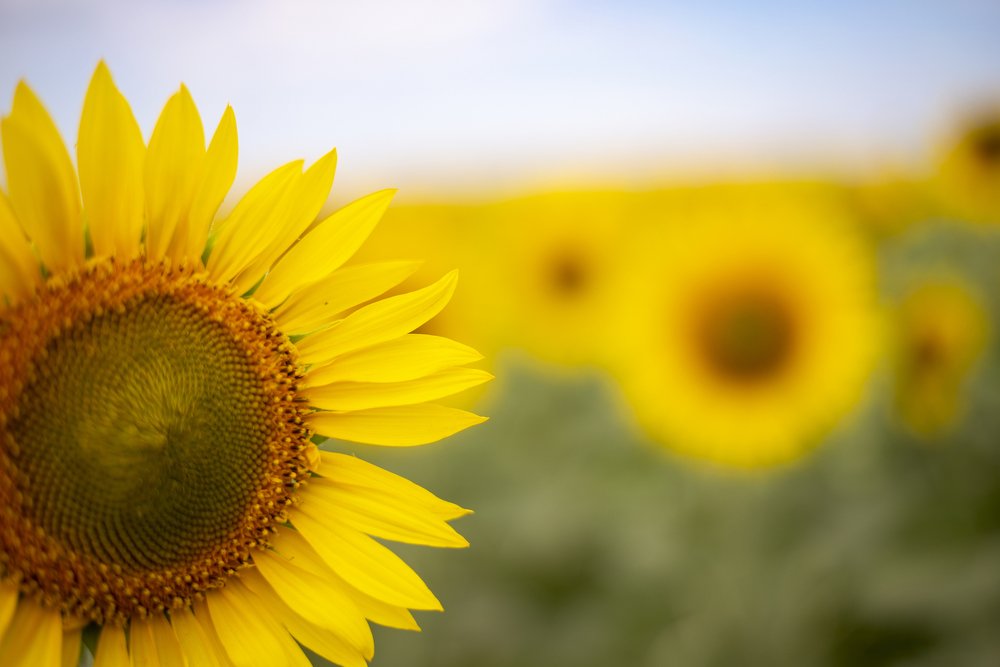 Photograph by Tanya Turmalin