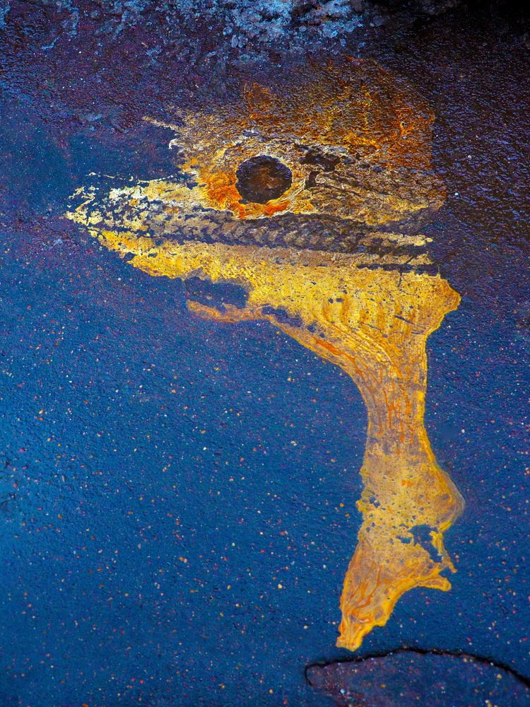 Динозаврик