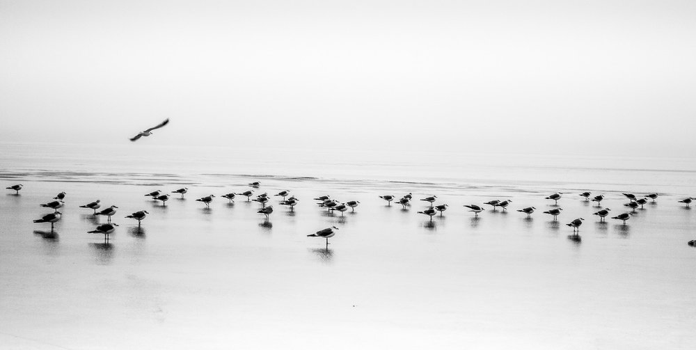 Photograph by Александр Фагаулин