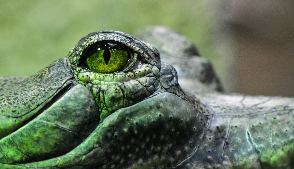 Фотография автора Глеб Рубашкин