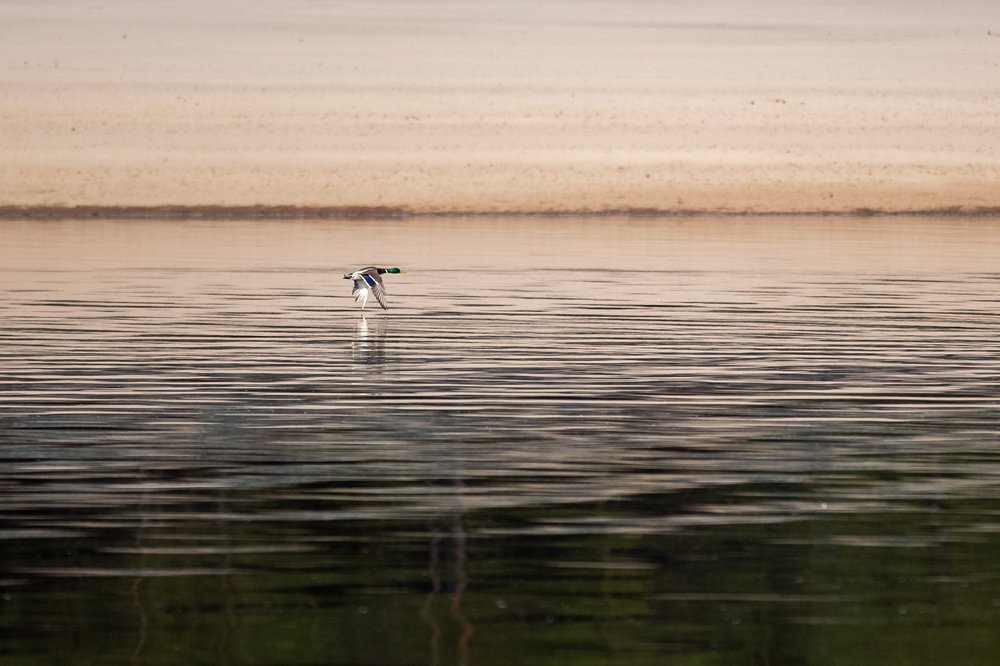 Photograph by Татьяна Тихомирова