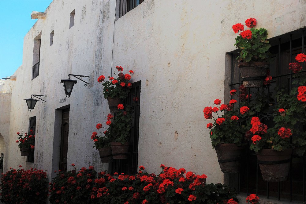 Photograph by Mariecarmen Flores