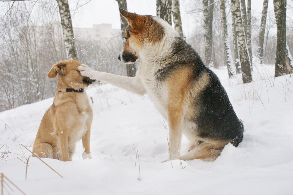 Photograph by Ольга Буракова