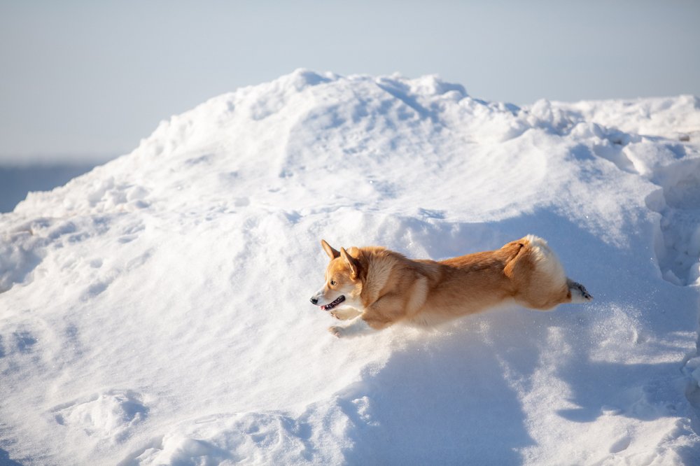 Photograph by Татьяна Тихомирова