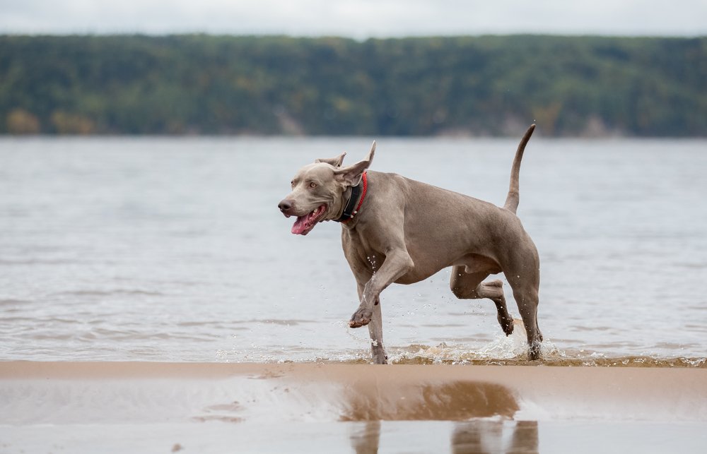 Photograph by Татьяна Тихомирова