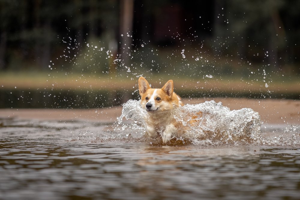 Photograph by Татьяна Тихомирова